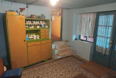 Casă individuală cu 14 camere cu Teren 1439 Mp în Brădișoru de Jos - 27