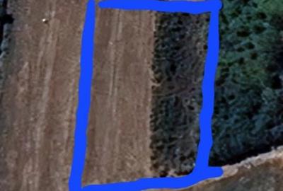 Spațiu comercial, în Brăniștari - 2