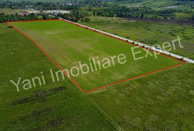 Teren de 69700 mp, în Tigveni - 1