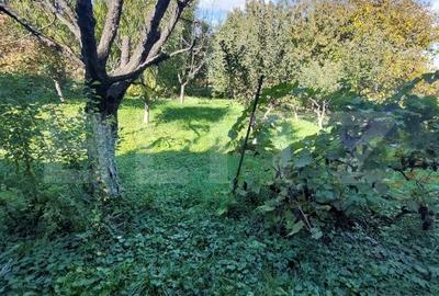 Casă cu 4 camere cu Teren 1000 Mp în Central - 6