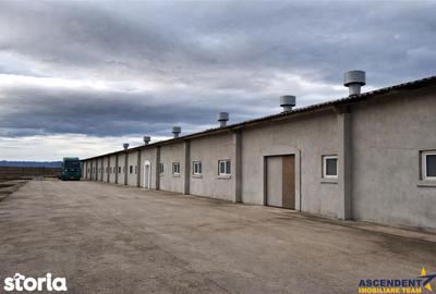 Spațiu comercial, de 400 mp, în Feldioara - 1