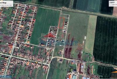 Teren de 542 mp, în Zimandcuz - 11