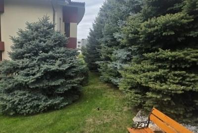 Casă individuală cu 7 camere în Central - 20