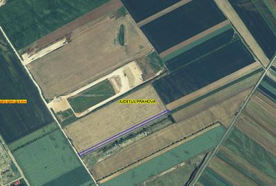 Vânzare teren extravilan arabil - Târgșoru Vechi, județ Prahova - 2