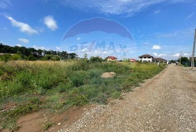 Teren Snagov adiacent Complex Sportiv Snagov - 2