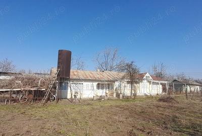 Casă cu 4 camere cu Teren 1934 Mp în Piscu - 7