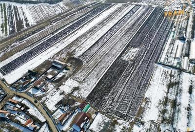 Teren de 6245 mp, în Dobolii de Jos - 4