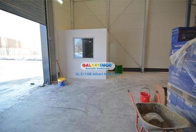 Vanzare hala 400 mp+teren 1500 mp Tunari - 9