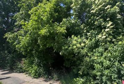 Teren de 4200 mp, în Rădăuți - 3