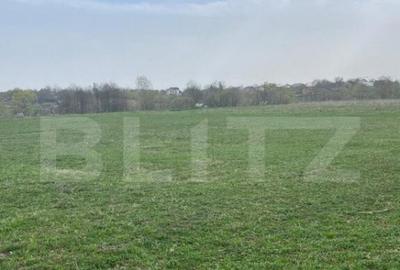 Teren intravilan- Horodnic de Jos (pre? negociabil) - 2