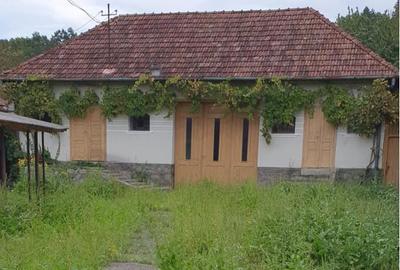 Casă cu 3 camere în Iacobini - 1