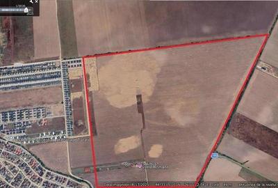 Teren Construcții intravilan de 8000 mp, în Tunari - 1