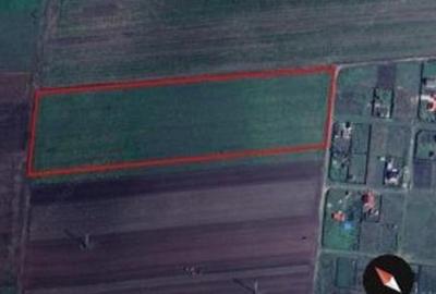 Teren agricol extravilan de 43910 mp, în Hălchiu - 1
