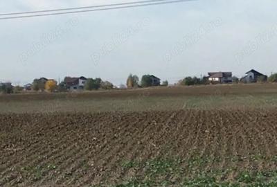 Teren de 4900 mp, în Căciulați - 7