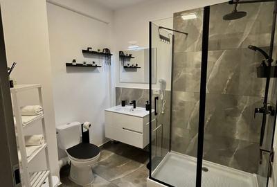 Apartament cu 2 camere decomandat în Băile Felix - 2