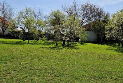 Casă cu 4 camere în Vinga - 4