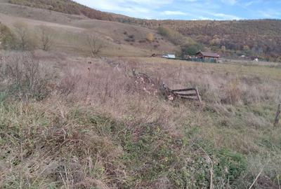 Spațiu comercial, în Sălicea - 5