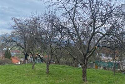 Teren intravilan de 4669 mp, în Dobricionești - 3