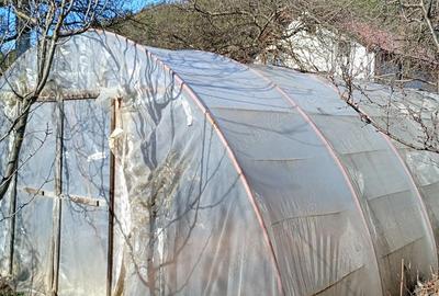 Casă cu Teren 1700 Mp în Central - 1