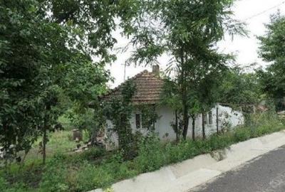 Casă cu 2 camere cu Teren 2361 Mp în Costinești - 1