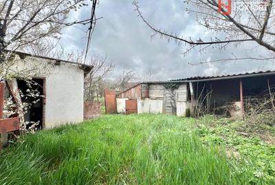 Casa individuala cu 3 camere si teren de 952 mp, zona Crisan - 7