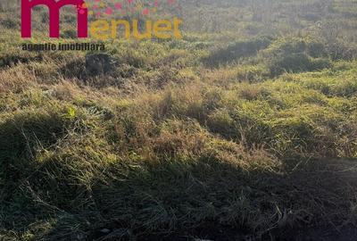 Teren agricol intravilan de 400 mp, în Est