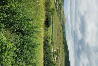Teren de 2200 mp, în Rădaia - 3