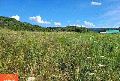 Teren intravilan Rm.Vl. Goranu-Calea Bucuresti 1100 mp aproape de oras - 2