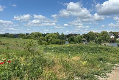 Corbeanca (Tamasi), teren intravilan langa lac si padure - 2