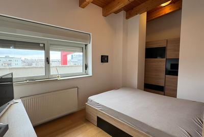 Penthouse cu 3 camere, mobilat în Torontalului - 3