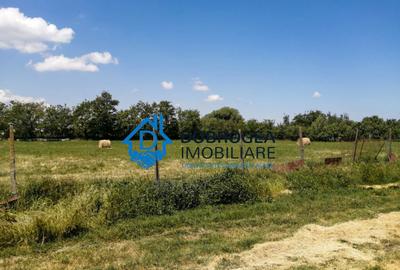 TEREN EXTRAVILAN - ZONA ZAGAN, IN APROPIEREA FOSTULUI ABATOR - 16