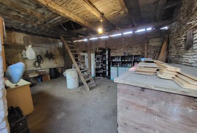 Casa cu o suprafata totala 1927 Mp, Seleus, Danes - 11