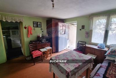 Casă cu 3 camere cu Teren 2460 Mp în Borlești - 6