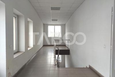 Spatiu industrial 320 mp depozite si birouri acces TIR Viile Sibiului - 3