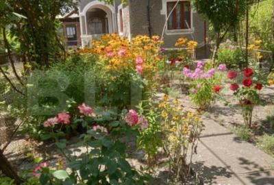 Casă cu 4 camere cu Teren 1300 Mp în Central - 10