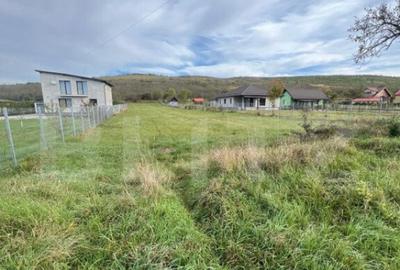 Teren de Vanzare, foarte aproape de Crama Jelna - 11