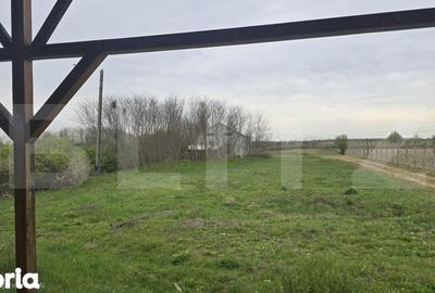 Spațiu comercial, de 106 mp, în Livada - 3
