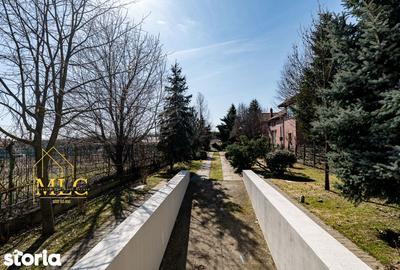 Casă cu 7 camere cu Teren 1935 Mp în Gruiu - 1