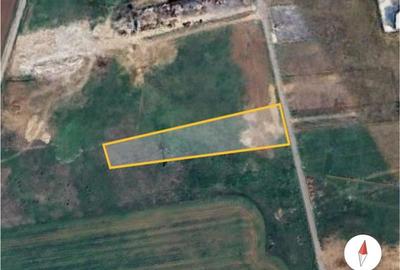 Vanzare teren Domnesti - Centura, ILFOV - 2