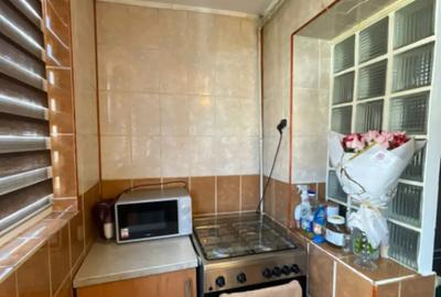 Apartament cu 2 camere decomandat în Valea Rosie - 10