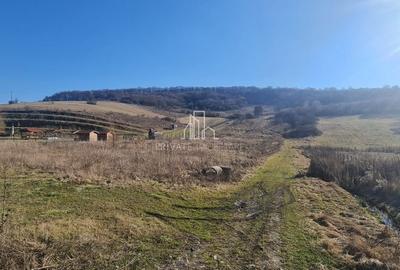 Teren 1000 Mp Intravilan De Vanzare, Langa Lac, Ivanesti - 3