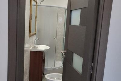Casa noua in Catamarasti Deal

-zona linistita de case - 9