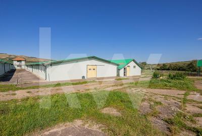 Proprietate industriala cu hale moderne, teren generos si acces Autostrada A1 - 3