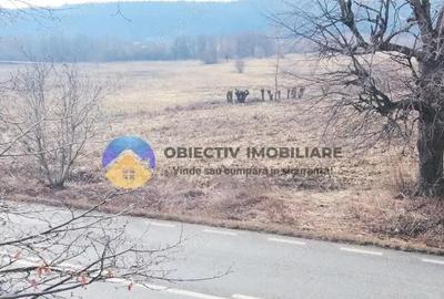Teren de 3035 mp, în Bodești - 8