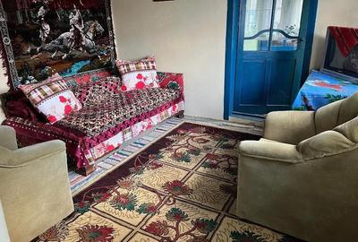 Casă cu 2 camere cu Teren 3000 Mp în Central - 1