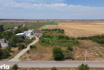 Teren de 7500 mp, în Clinceni - 2