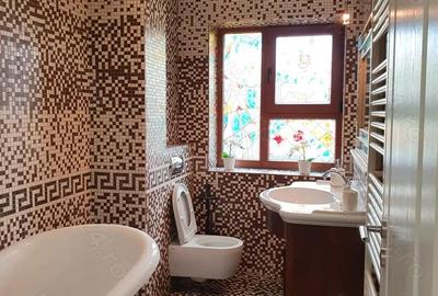 Ap de lux, central, 2 camere + terasa, 100 m2 utili - 7