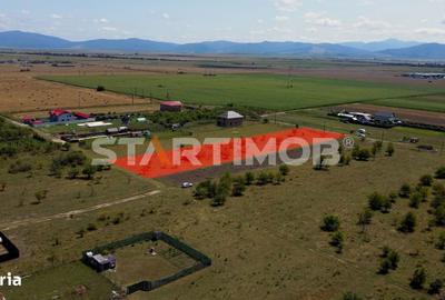 Teren de 2900 mp, în Sânpetru - 9