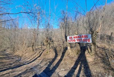 Spațiu comercial, în Podul Lung - 3