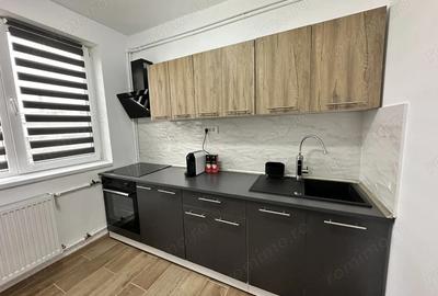 Proprietar inchiriez apartament cu o camera RECENT RENOVAT - 5